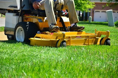 The Benefits Of Hiring Professional Lawn Care Services Liquid Lawn
