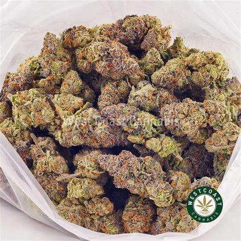 Buy Frosty Gelato Aaaa Online West Coast Cannabis