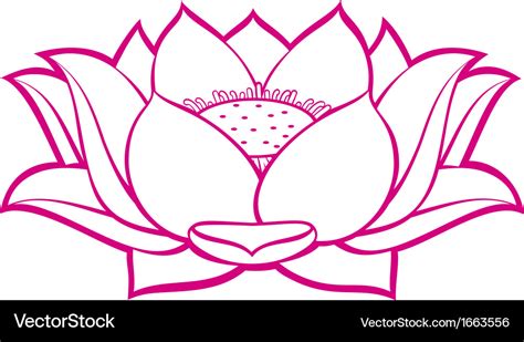 Lotus Flower Royalty Free Vector Image Vectorstock