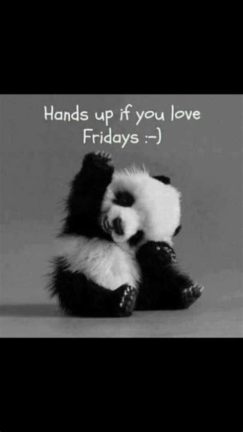 adorable pin me panda its friday quotes happy friday quotes friday meme my xxx hot girl