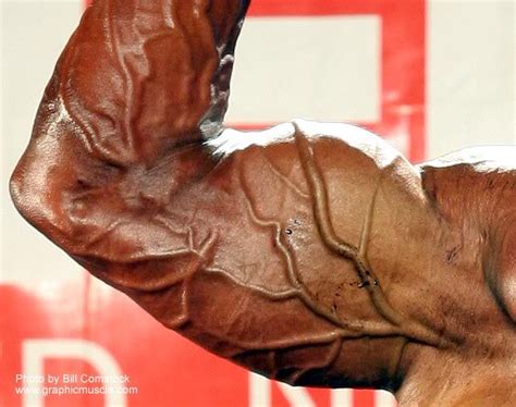 Vascular Bodybuilding Muscle Stop Tree Branch Like Veins In Rock Hard