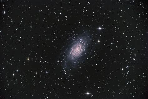 Deep Sky Objects Galaxy Ngc 2403 Spiral Galaxy