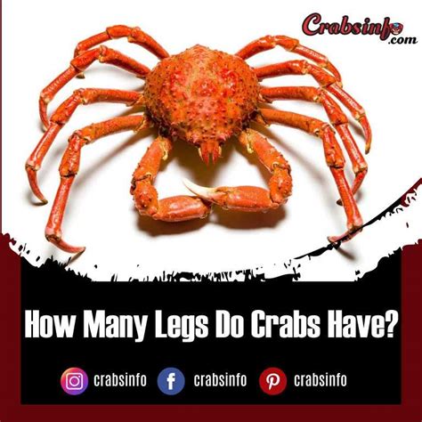 How Many Legs Do Crabs Have