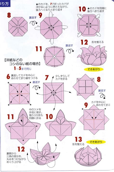 Origami Lotus Flower Tutorial Paper Kawaii