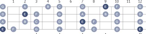 E Phrygian Bass Guitar Scale