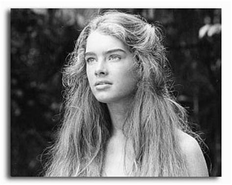 ss2200354 movie picture of brooke shields buy celebrity photos and posters at