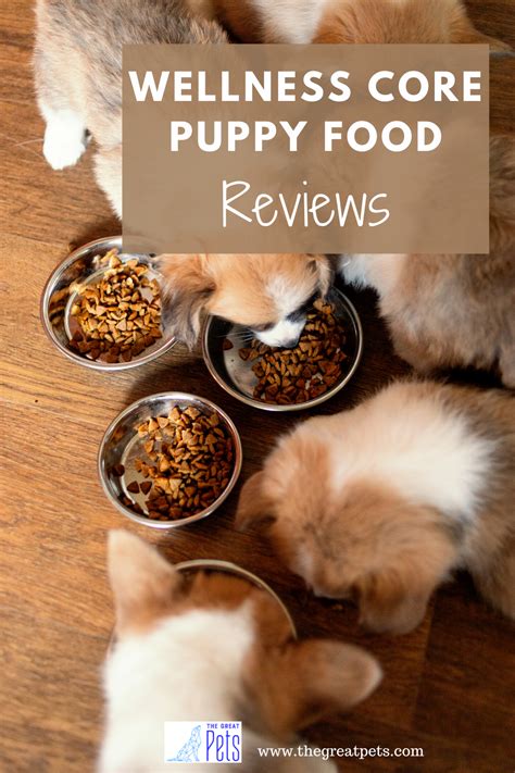 The company recalled its large breed puppy formula in may 2012 due to possible salmonella contamination. Wellness Core Puppy Food Reviews - The Great Pets | Dog ...