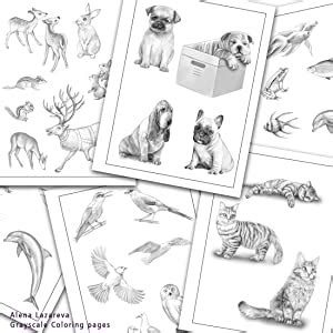 Best Grayscale Coloring Pages Part By Alena Lazareva Perfect Gift For Coloring Book