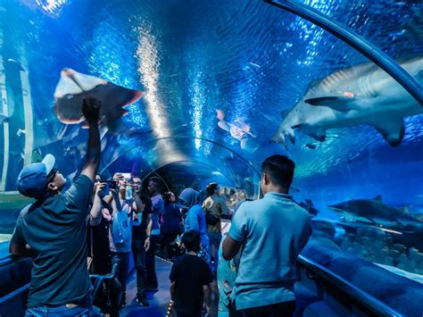 Get the price for indian and foreigner entry tickets as well as charges for camera, videography & groups. Fatin Days - 5 Tips for Visiting Aquaria KLCC and Review