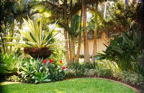 Tropical Planting California Landscaping Palm Trees Landscaping