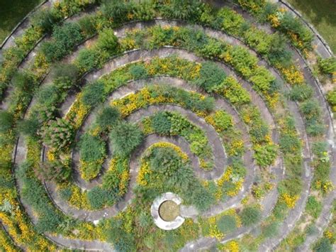 A Wildflower Labyrinth Finegardening Labyrinth Design Labyrinth