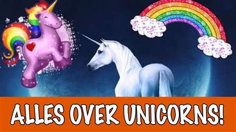 Alles Over Unicorns Dierenpraattv Youtube