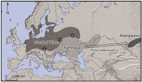 Anthromadness Population Genomics Of Bronze Age Eurasia Allentoft Et