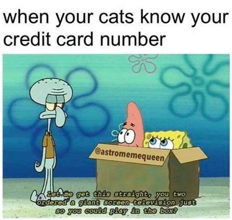Share the best gifs now >>>. dopl3r.com - Memes - when your cats know your credit card number @astromemequeen et me get this ...