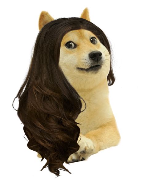 They must be uploaded as png files. Doge Png / Posts must contain doge or an edit of doge in some meaningful way. - jjwagner