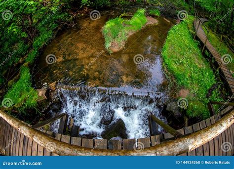 Forest With Waterfall And Wooden Bridge Stock Photo Image Of