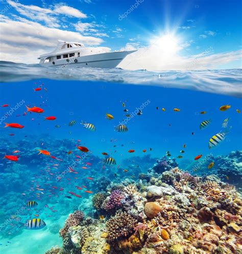 Underwater Coral Reef With Horizon And Water Surface Stock Photo By