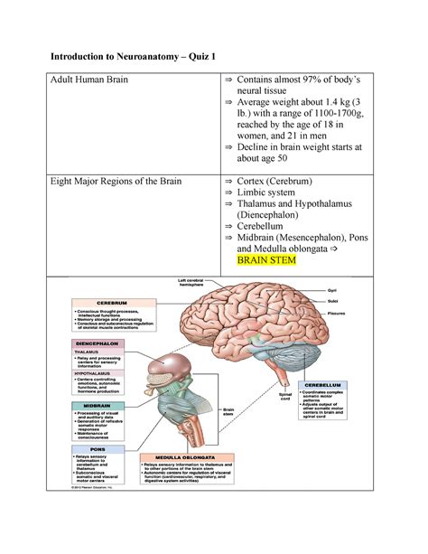 Neuroanatomy Quiz 1 Region Of The Brain Introduction To