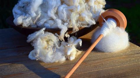 Spinning Yarn How To Spin Raw Wool Into Yarn Homesteading