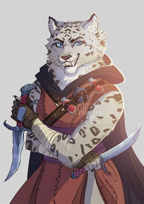 Commission Tabaxi Rogue By Ioana Muresan On Deviantart
