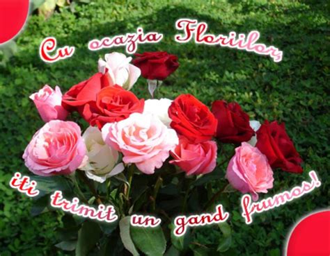 Astăzi, de florii, aproximativ un milion și jumătate de români își sărbătoresc onomastica în această zi, pentru că poartă nume de flori. Sms-uri de Florii - Mesaje de Florii - Urari de Florii ...