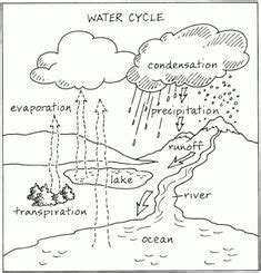 The water cycle is an exciting and continuous process, with no beginning or end. Free Science Worksheet Water Cycle | Here's some ...