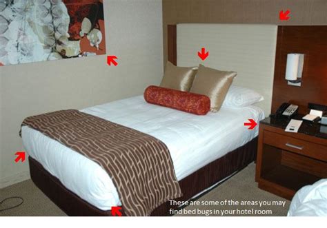 Maybe you would like to learn more about one of these? Inspecting Your Hotel Room for Bed Bugs | Let's Beat the ...