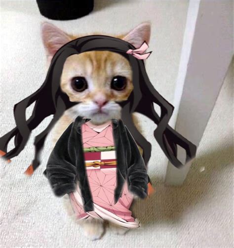 Cute Nezuko El Gato Pfp For Free Made By Me Gatos Cat Anime Demon