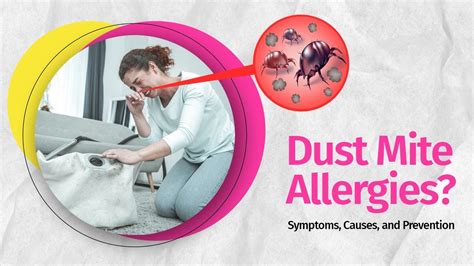 What Are Dust Mite Allergies Symptoms Causes Triggers And Prevention Youtube