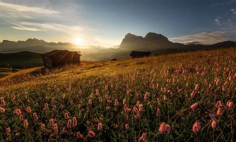 Hd Wallpaper Flowers Mountains Sunrise Dawn Morning Meadow Hut