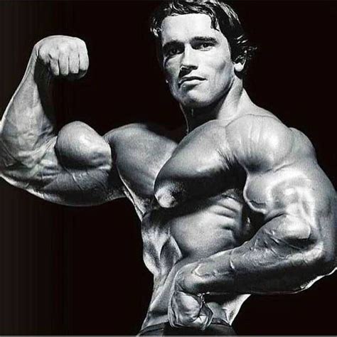 Arnold Schwarzenegger Bodybuilding Arnold Schwarzenegger