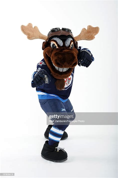 mick e moose mascot for the winnipeg jets poses for a portrait news photo getty images