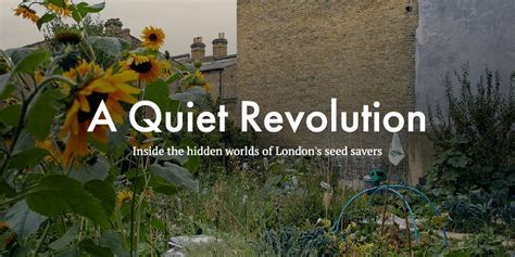 A Quiet Revolution Interactive Story Seed Sovereignty