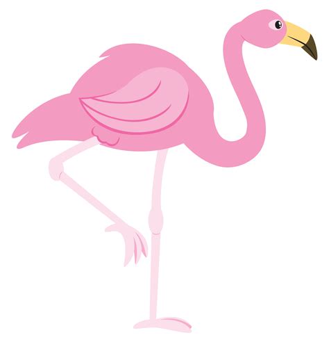 Pink Flamingo Cartoon Clipart Flamingo Clip Art Flamingo Art