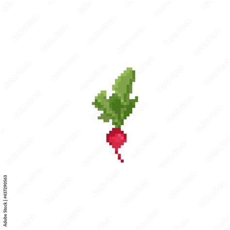 Pixel Art Radish Icon Vector Vintage Style Illustration Radish Symbol