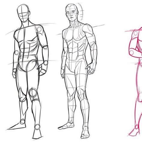 Standing Poses Reference Poses Drawing Reference Standing Body Draw