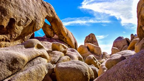 10 Things Not To Miss On Your First Visit To Joshua Tree National Park