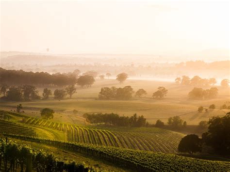 Maybe you would like to learn more about one of these? The Hunter Valley | Travel Insider
