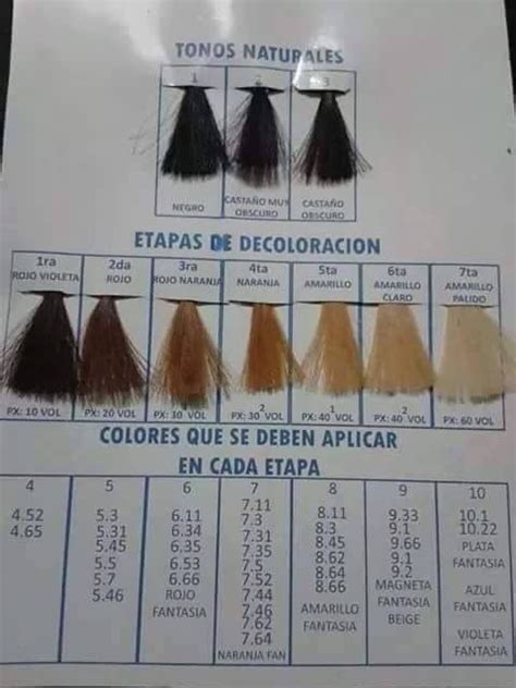 etapas decoloración decoloración de cabello técnicas de color para cabello … decoloración