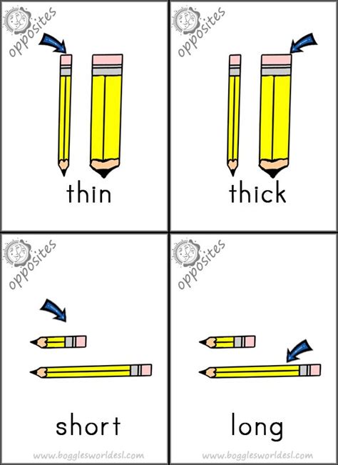 Opposites Thin Thick Short Long English Worksheets For Kids