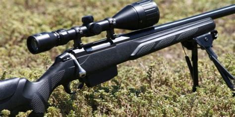 9 Best Varmint Rifles For Predator And Varmint Hunting ⋆ Outdoor