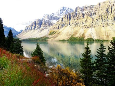 Panorama Picture Of The Canadian Bow Lake With Many Trees In Front In