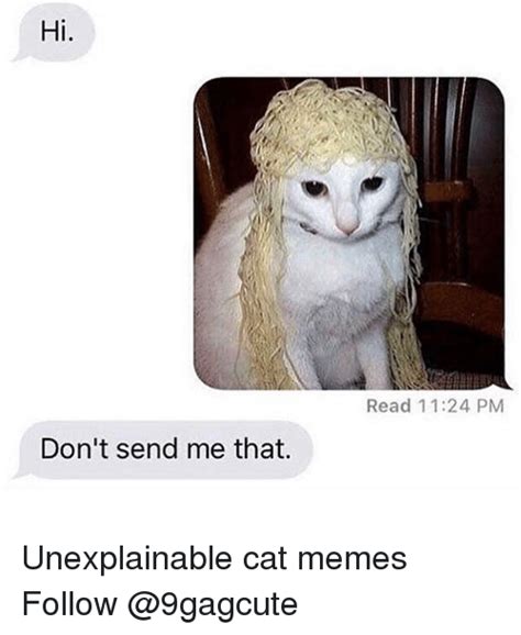 Memes 🤖 And Cat Hi Read 1124 Pm An Dont Send Me That