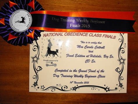 National Obedience Class Finals 2015