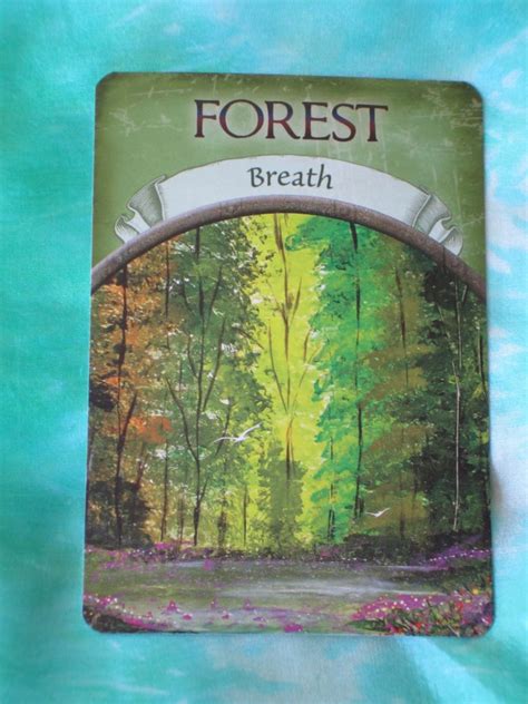 Daily Oracle Card For Thursday Forest Breath Daily Tarot Girl
