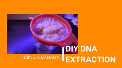 Diy Dna Extraction Using Bananas Youtube