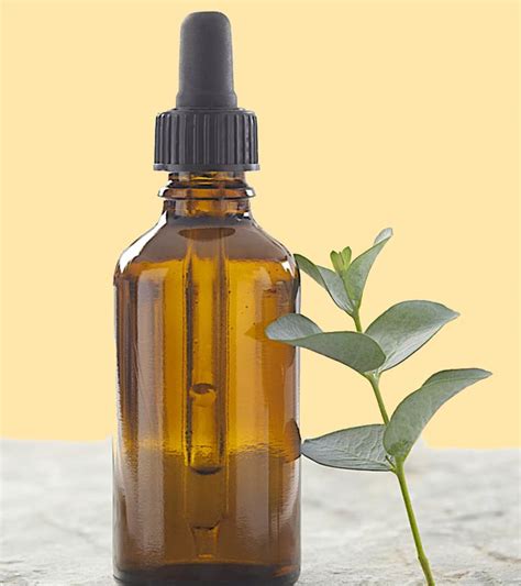 Eucalyptus essential oil is a natural antiseptic and a potent antifungal agent. Eucalyptus Oil For Hair - How To Use It And Side Effects