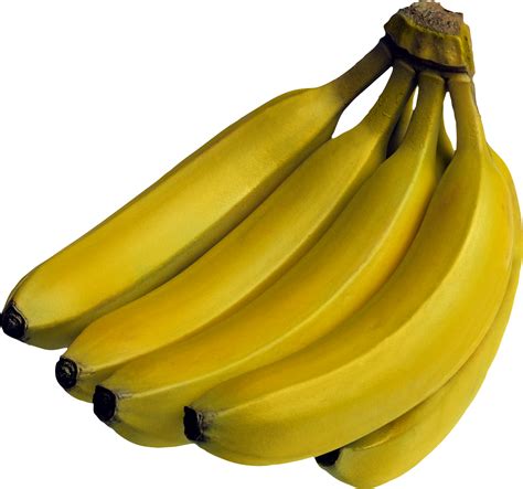 Bananas Png Transparent Image Download Size X Px