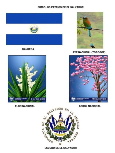 Simbolos Patrios De El Salvador Pdf