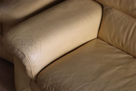 to add Mm Frill changer la couleur d un canapé en cuir Deliberate I